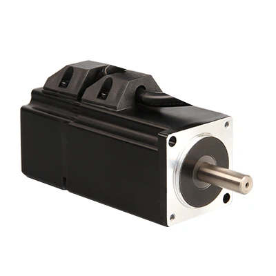 40×40mm 100w 3000rpm 0.32Nm 48VDC Servo Motor